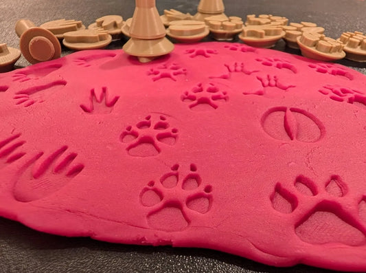 Set de Sellos de Huellas de Animales para Plastilina impreso en 3D para actividades creativas, aprendizaje y juego infantil.