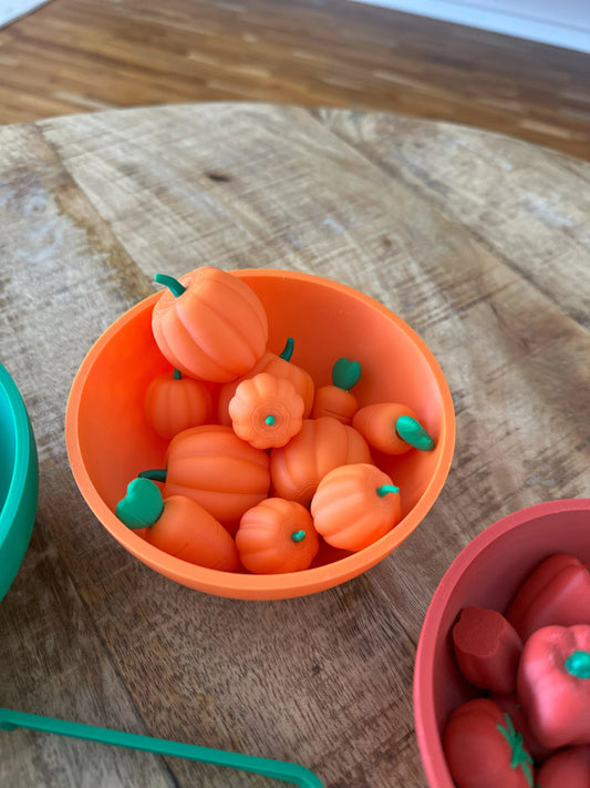 Huerto Montessori de Verduras