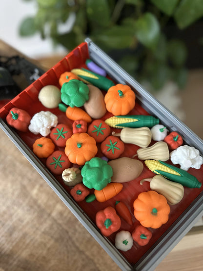 Huerto Montessori de Verduras