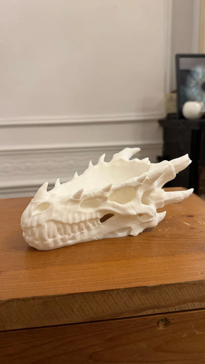 Organizador de Escritorio Calavera de Dragón