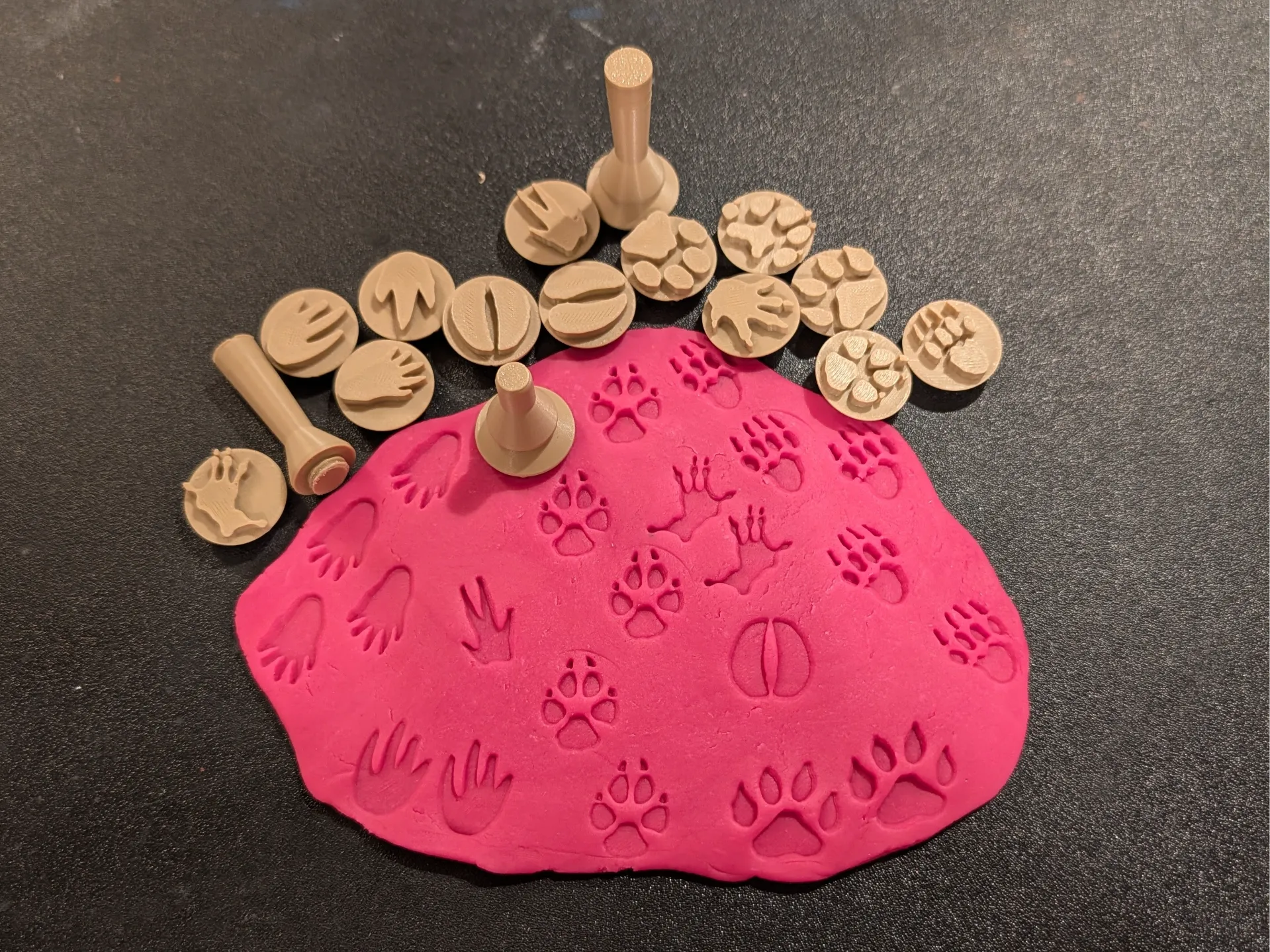 Set de Sellos de Huellas de Animales para Plastilina impreso en 3D para actividades creativas, aprendizaje y juego infantil.