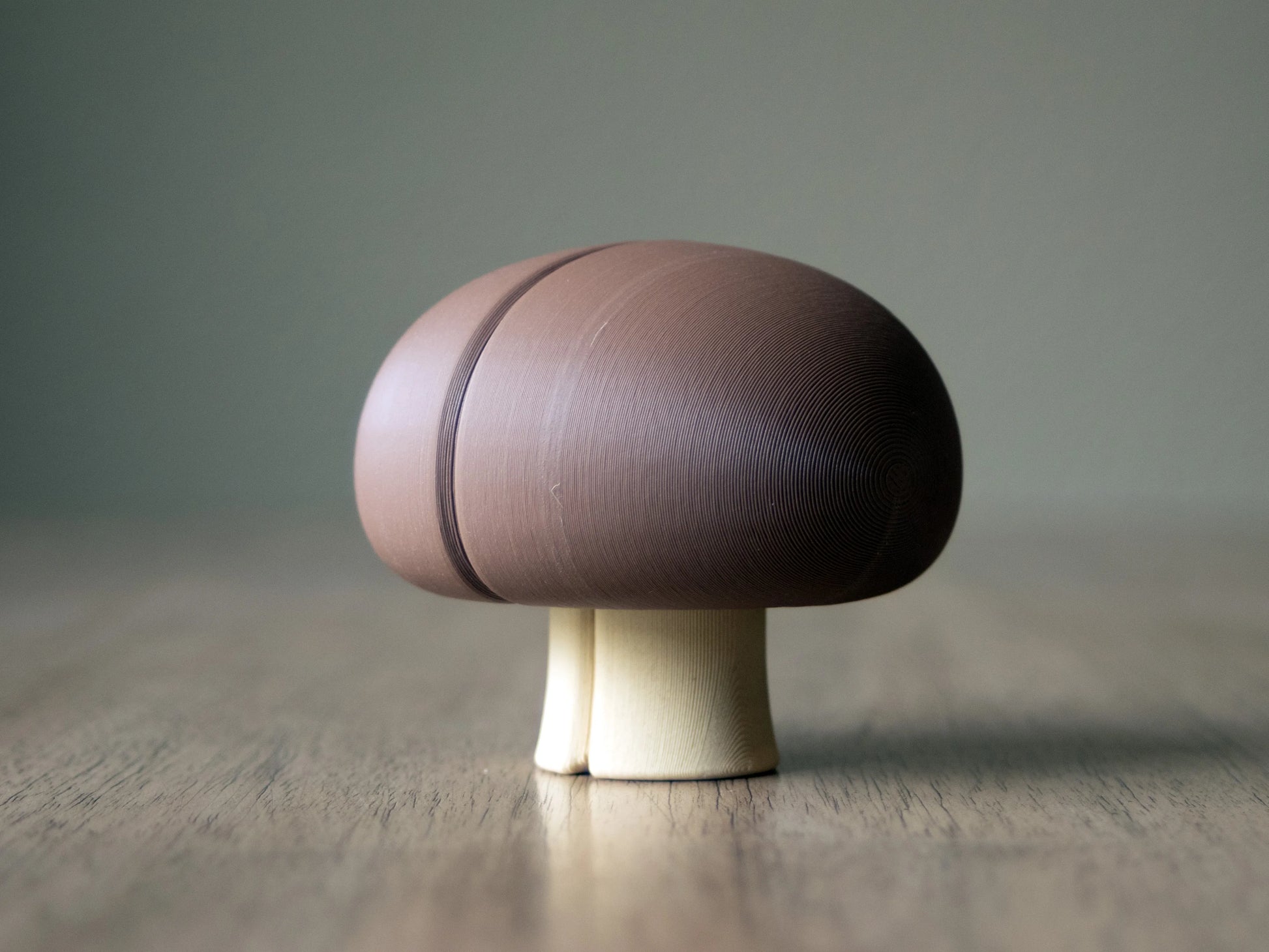 Seta Magnética Cortable impresa en 3D con piezas magnéticas para cocinitas infantiles y juegos de cocina.
